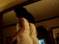 Annie S Love Song 2