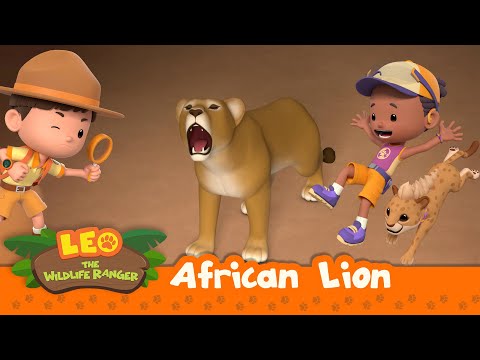 African Lion | A Trapped Lioness! Can Leo Help?!? | BIG CATS! | Leo the Wildlife Ranger | For Kids