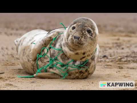 El mundo que no podemos dejar a nuestros hijos