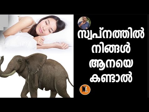 Dreams About Elephants - What do dreams about elephants mean|സ്വപ്നത്തില്‍ ആനയെ കണ്ടാല്‍