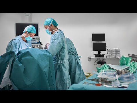 The roller coaster popularity of plastic surgery