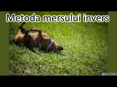 Metoda mersului invers, lectia 1, clasa a IV-a