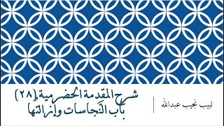 شرح المقدمة الحضرمية - 28 [النجاسات وإزالتها] image