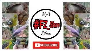 Download lagu Mp3 Pikat Suara Mix Andalan Jaya mp3