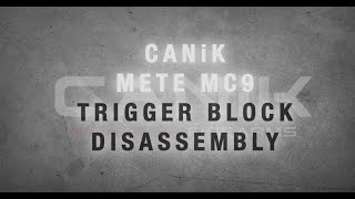 CANiK METE MC9 Trigger Block Assembly Dissassembly