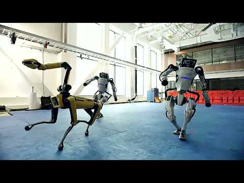 Higheffect ft  Silvia Dias Vs  KlaasRemix & Boston Dynamics - Sweet Dream