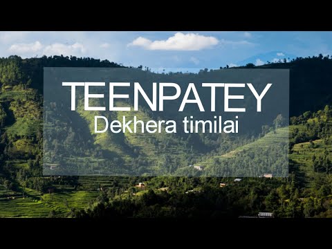 TEENPATEY  DEKHERA  timilai lyrical video l Lyrics Nepal l