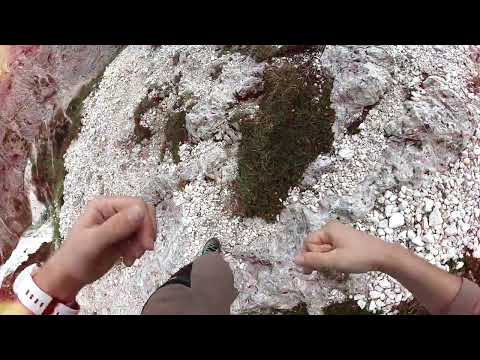 Pale di San Martino - Sentiero delle Farangole
