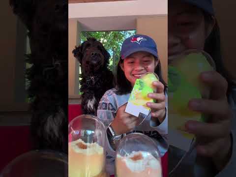 Let’s eat fruit shaped ice cream with Oreo 🐶