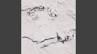 Sea Song Music Video
