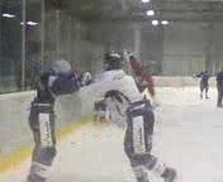 Jungadler beim "kämpfen"