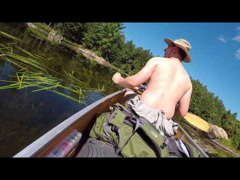 Algonquin Park - "Devils Razor"