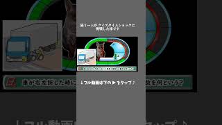 【ショート版】猫ミームがクイズタイムショックに挑戦した様です #shorts