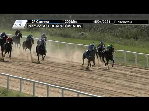 210415 c02 - ECCLECTICO - SINT COLONIA