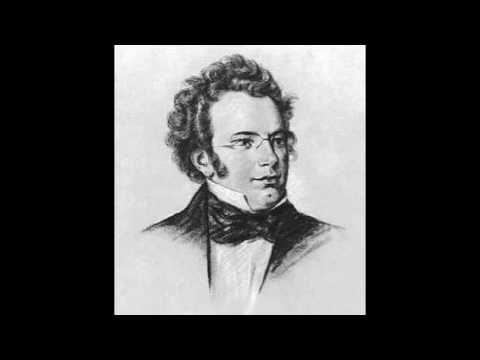 [ With Music Sheet ] Schubert - Octet in F major Op. 166 D. 803 orchestra classic