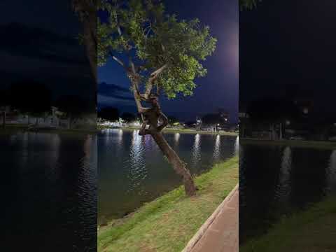 Lagoa Grande- Patos de Minas-MG #patosdeminas #minasgerais #brasil