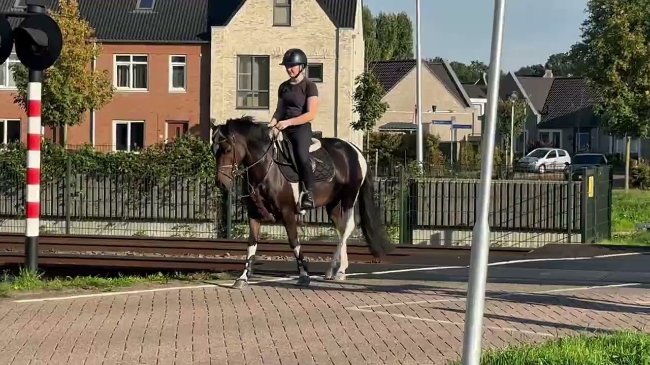 Jesse Bo Duke video 2