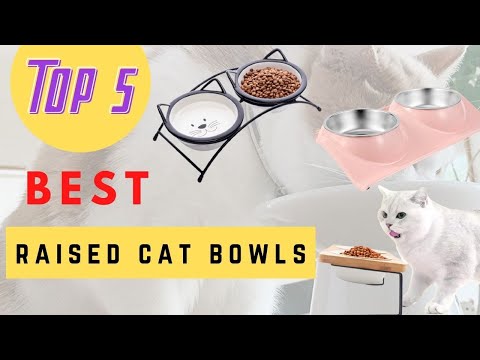 Smart Raised Cat Bowls 2021