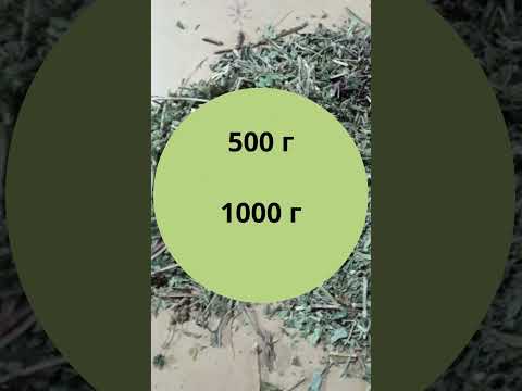 Трава мелисса (1 кг) - фото 1 - id-p2370912753