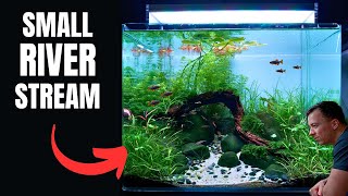 I MADE A RIVER AQUASCAPE FOR THE PERFECT NANO FISH! Aquascape Tutorial