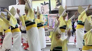 阿波踊り - 天狗連 - 高円寺フェス2024