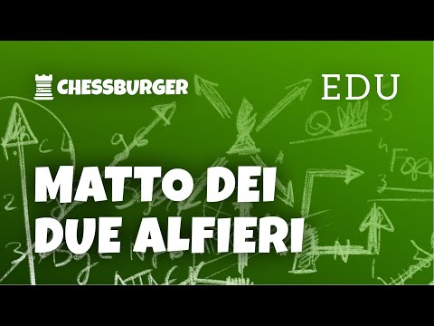 MATTO DEI DUE ALFIERI | EDU