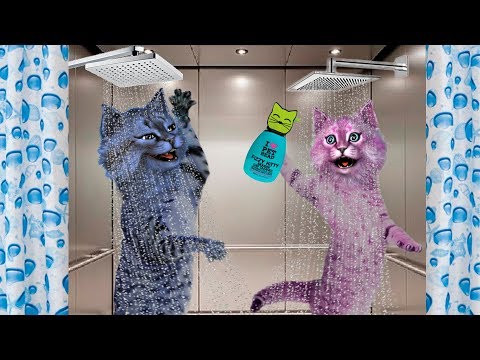 В ЛИФТЕ ОТКРЫЛИ ДУШ! / НОВЫЙ СУМАСШЕДШИЙ ЛИФТ в РОБЛОКС / The New Elevator ROBLOX