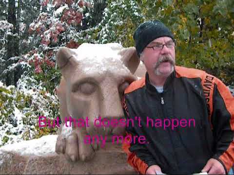 week 13 lion shrine