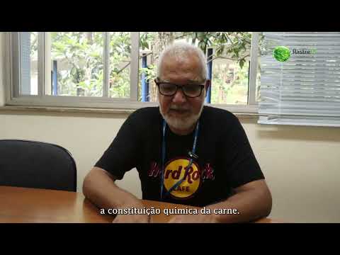 Pesquisa usa “assinatura química” da carne para rastrear origem e combater fraudes ambientais