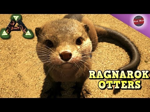 Ark Otter Ragnarok Location Steam Community :: Video :: Ragnarok Otters, Taming Spree | Ragnarok | Ark  Survival Evolved