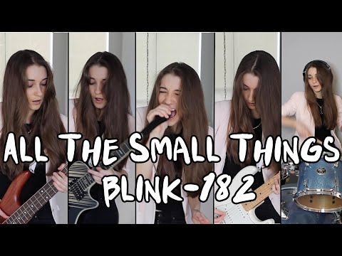 "All The Small Things" - blink-182 (Cassidy Mackenzie Cover)