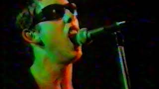 SHANE MACGOWAN / THE NIPS (ARD)