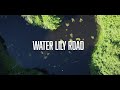 Ian Tamblyn   Water Lily Road 1