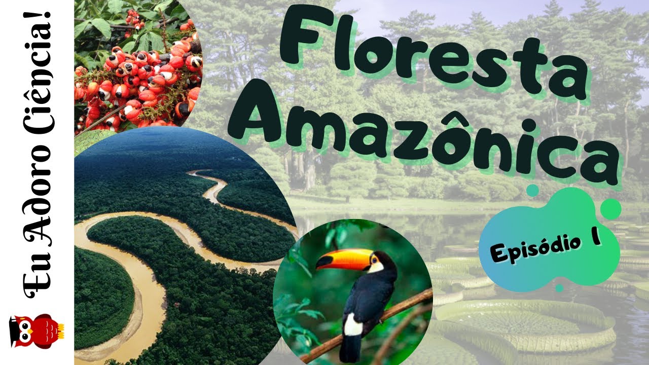 Biomas e Ecossistemas Brasileiros - FLORESTA AMAZÔNICA (Episódio 1)