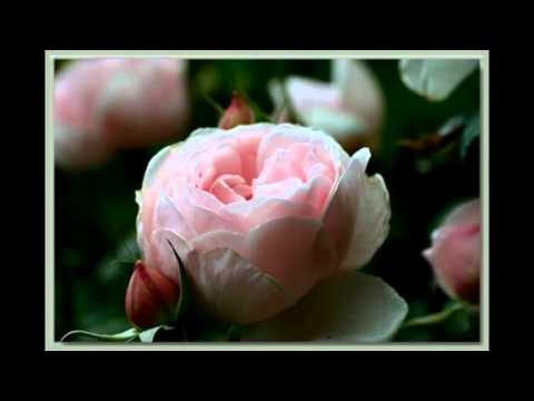 Mariadelcarmensochoa