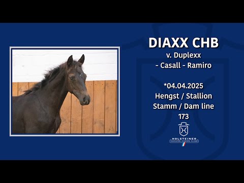 Holsteiner Elite-Fohlenauktion 2025 in Elmshorn | Nr. 28 v. Duplexx - Casall