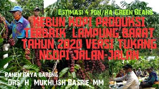Download lagu THE BEST PRODUCING COFFEE PLANTATION IN WEST LAMPUNG 2020: TUKANG NGOPI JALAN-JALAN EDITION mp3