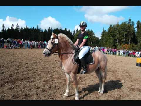 Formanský den Borová 2010