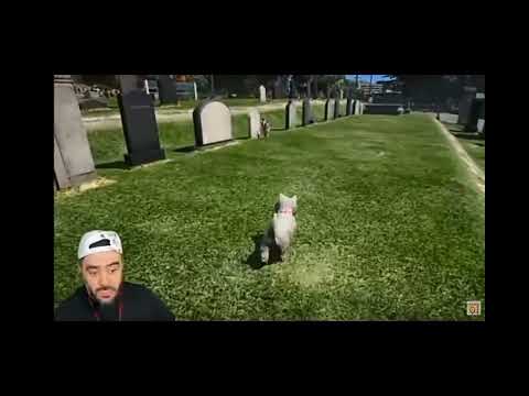 Türkpro sahibinin yanına  giden köpek