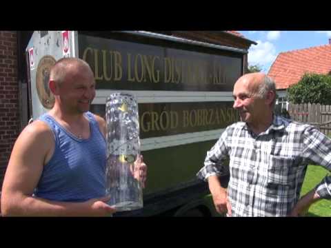 MKS Jędrek_ Polski Gołąb Ekstremalny