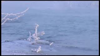 Ангара вышла из берегов