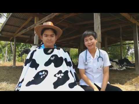 Exciter สำหรับผู้หญิงลดลงในร้านขายยา Chelyabinsk ระดับความแรงต่ำ