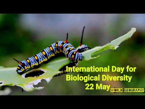 Biodiversity. International Day for Biological Diversity 2020 -2021