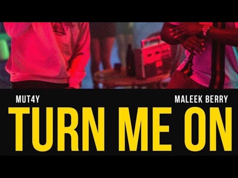 Mut4y - Turn me on Ft Maleek Berry 8D Audio (Visualiser)