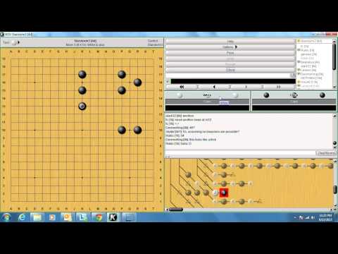 Starstorm3 [AGA 5dan/KGS 4dan] - KGS Go Lecture (Baduk/WeiQi) on "Estimating Territory" (#14)