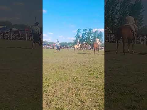 47° fiesta de la tradición buena esperanza San Luis