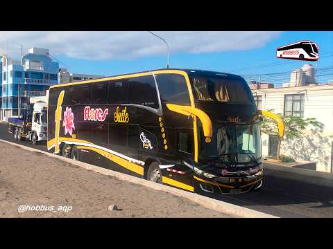 Buses en ILO | Temporada 2 | Episodio 01