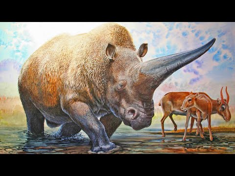 The Earth 200,000 Years Ago | 200,000 Subscribers Special