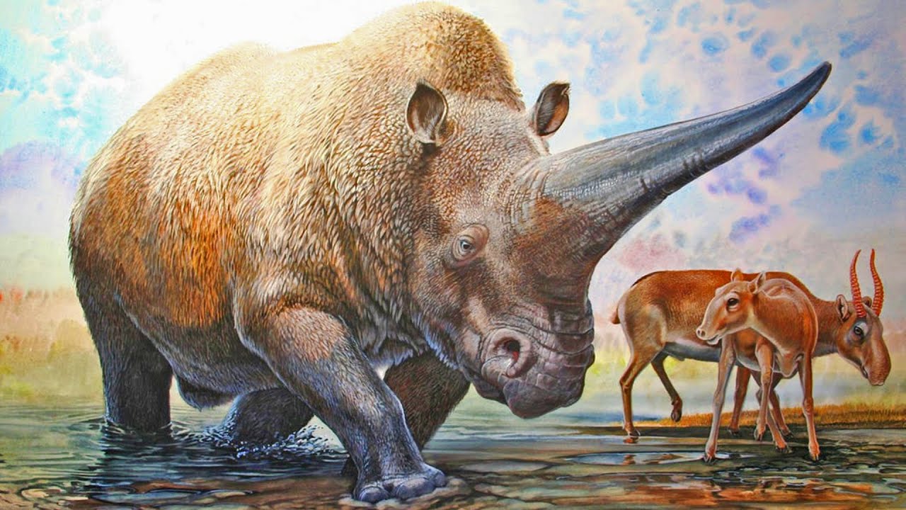 The Earth 200,000 Years Ago | 200,000 Subscribers Special