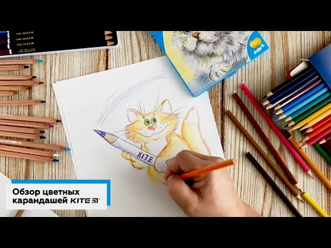 Олівці кольорові Kite "Тварини", 24 кольору K17-055-1